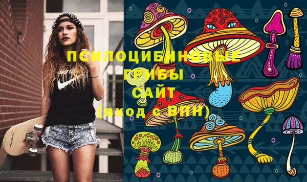 хмурый Абинск
