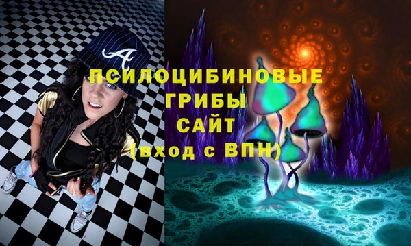 хмурый Абинск